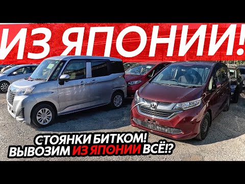 Видео: СТОЯНКИ БИТКОМ❗️ВЫВОЗИМ ВСЕ АВТО ИЗ ЯПОНИИ😱ЦЕНЫ ОТ 450 ТЫСЯЧ РУБЛЕЙ🔥ДЕШЕВЛЕ НЕ БУДЕТ⁉️