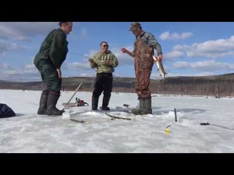 Видео: Рыбалка в Братске.