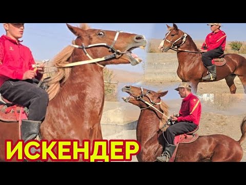 Видео: Пай Паай Искандер Чыктыго🔥