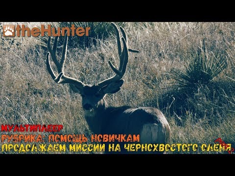 Видео: theHunter Classic/Рубрика:помощь новичкам/чернохвостый олень - миссии ч.2/multiplayer