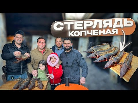 Видео: КОПЧЕНАЯ СТЕРЛЯДЬ — НЕЖНЕЙШАЯ РЫБА С ДЫМКОМ!
