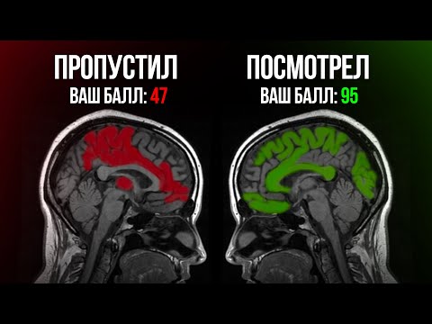 Видео: ПРОГНОЗ на ПЕРЕСДАЧУ с точностью 84% | Слив ЕГЭ по информатике 2024