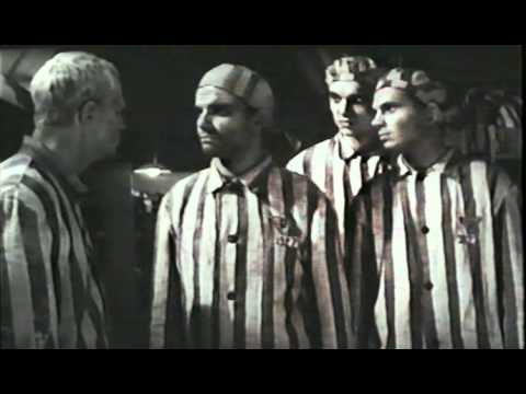 Видео: Родины солдат