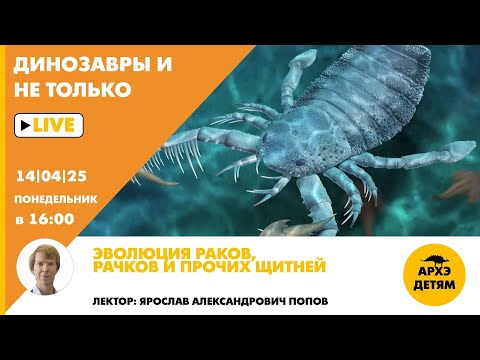 Видео: Занятие "Эволюция раков, рачков и прочих щитней" рубрики "Динозавры и не только" с Ярославом Поповым