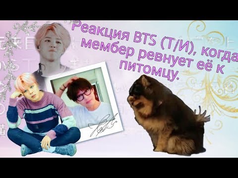 Видео: Реакция BTS|Реакция Т/И, когда мембер ревнует её к питомцу|Reaction BTS|Bangtan Seonyondan
