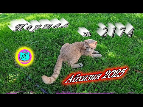 Видео: #Абхазия2025 🌴04.10.25г. ❗ Выпуск № 2174🔥вчера +27°🌡ночью +17°🌡море +21,3°🐬