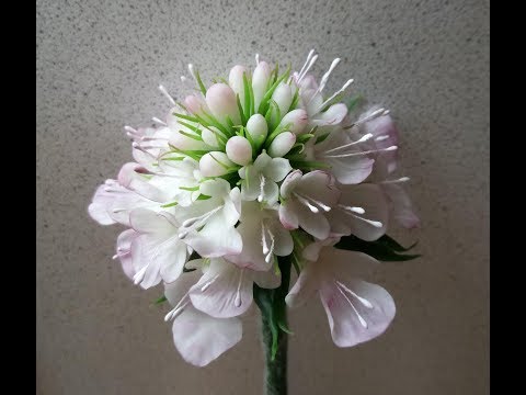 Видео: М.К. Скабиоза из холодного фарфора. Авторский МК Татьяны Несиной.