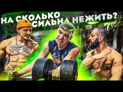 Видео: НАСКОЛЬКО СИЛЕН АРМРЕСТЛЕР?