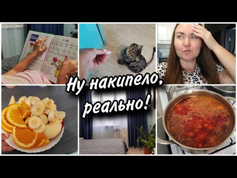 Видео: Высказалась, накипело! 😠 Что готовлю из горячего🍲Хочу перестановку 🤔Амелия начинает читать📚