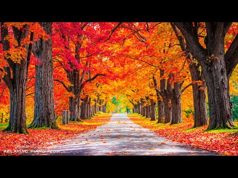 Видео: Музыкальная терапия 🍁 Перестаньте слишком много думать, музыка для снятия стресса с осенними мелоди