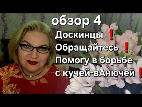 Видео: ДОСКИНЦЫ❗️Обращайтесь❗️Помогу в борьбе с кучей-вАнючей❗️ 