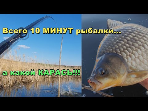 Видео: Тихо ПОДКРАЛСЯ в маленькую затоку, а ТАМ...! Трофейный КАРАСЬ весом 2кг 370гр. Весной СУПЕР рыбалка!