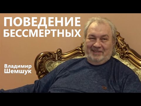 Видео: Поведение Бессмертных. Владимир Шемшук