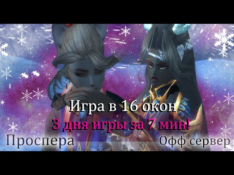 Видео: Твины это просто!  500кк на 4 день! Делаем идеальный интерфейс 16 окон на Проспера Perfect World