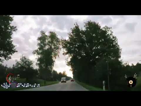 Видео: Она привыкла жить одна...