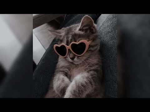 Видео: Ани Лорак - Зажигай сердце (speed up)