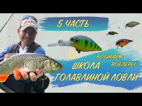 Видео: Как поймать голавля_Воблеры ТОП приманок_5 ЧАСТЬ