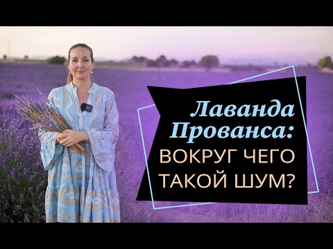 Видео: #франция #прованс #лаванда Путешествие по Франции//Лавандовые поля Прованса