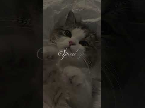 Видео: Земфира-,,Кувырок"(speed up)