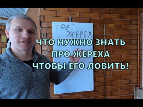 Видео: Когда, Где и Как ловить ЖЕРЕХА \ #самодельныеприманки #жерех