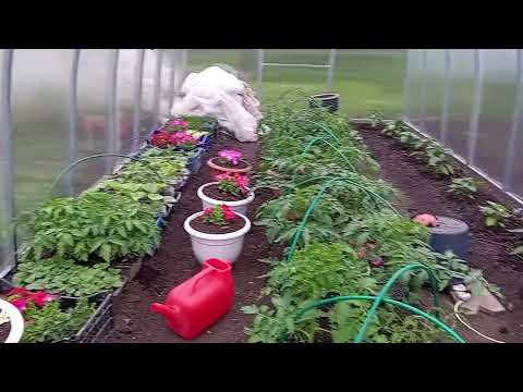 Видео: Жизнь в деревне . Деревенские будни .Щей наварю.