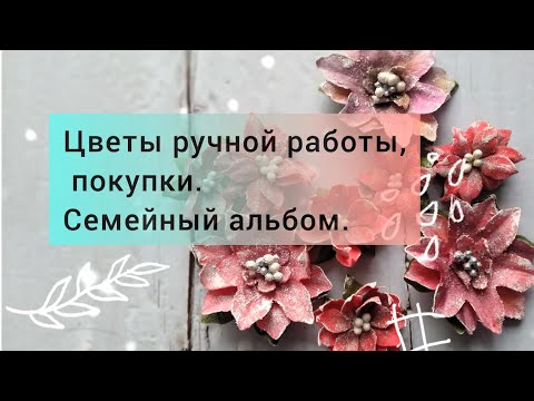 Видео: Цветы ручной работы, покупки.  Семейный альбом.