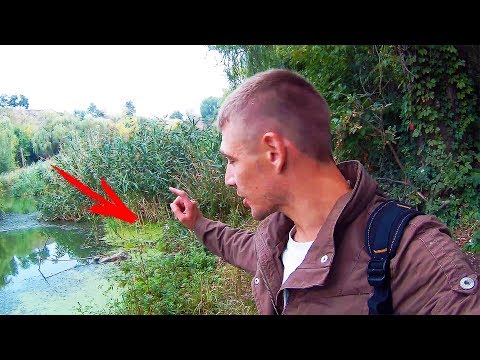 Видео: ЭТО ТО,ЧТО ВСЕ ТАК ДОЛГО ЖДАЛИ!!! АНУБИАСЫ ДИКАРИ!!! РЕЗУЛЬТАТ!!!