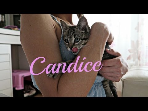 Видео: #71 Влог! Завтрак вместе! С Candice к Ветеринару! Брат в гостях!