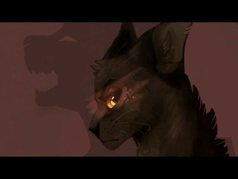 Видео: Коты Воители ~Клип ~Психушка