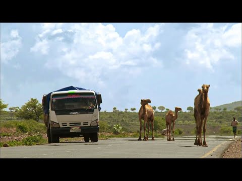 Видео: Экстремальное путешествие в Эфиопию и Румынию | Грузовики и люди