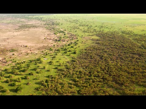 Видео: Мегапроект Африки - Великая Зелёная Стена. Как превратить Сахару в оазис?!