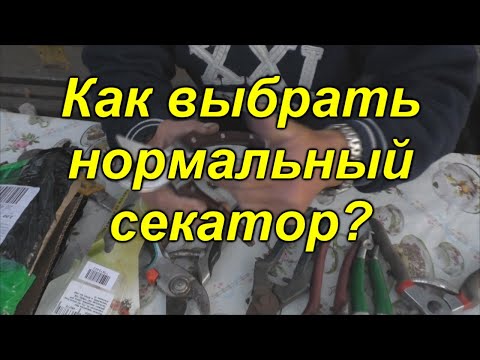 Видео: Лучший секатор, какой он?