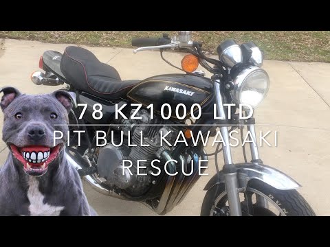 Видео: 78 KZ1000 LTD "Pit Bull Kawasaki" Спасение