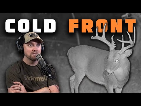 Видео: Первая стратегия «Холодный фронт» в октябре | Hunt Companion