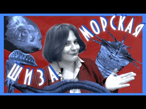 Видео: СТРАННЫЕ И ИНТЕРЕСНЫЕ морские обитатели на грани ШИЗЫ