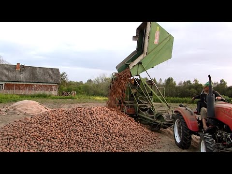 Видео: Не смотря на поломку докопали картофель.