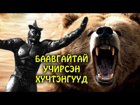 Видео: Чоно, баавгайтай учирсан аатай, бяртай хүчтэнгүүд ʕ•ᴥ•ʔ