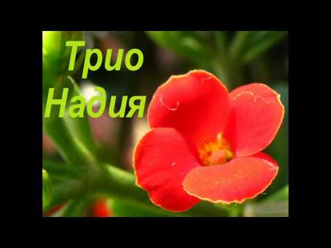 Видео: Трио Надия - Голгофе