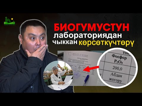 Видео: Биогумусту текшердик. Результаттары бизди таң калтырды. Бул видеодо пайдалуу маалымат бар.