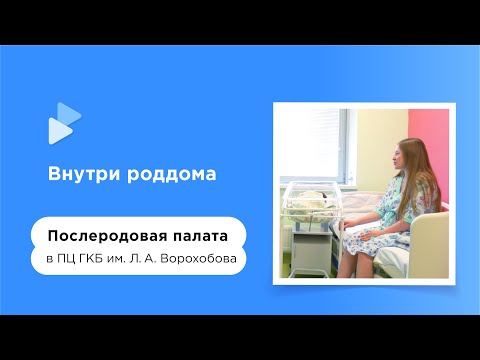 Видео: Послеродовая палата в ПЦ ГКБ им. Л.А. Ворохобова