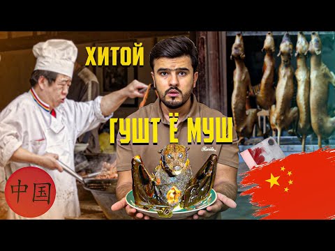 Видео: ГУШТИ ХАР ДАР БОЗОРХОИ ХИТОЙ / АНА ТОЧИКО ДАР ХИТОЙ  ЧИ МЕХУРАНД ! (Ajam STAN)
