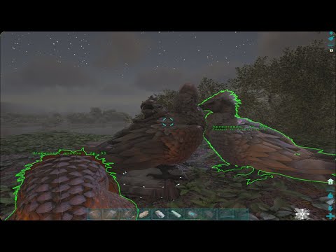Видео: 🦖Ark Survival Evolved🦖 #23 Аргентавис самец для моей самочки Аргента