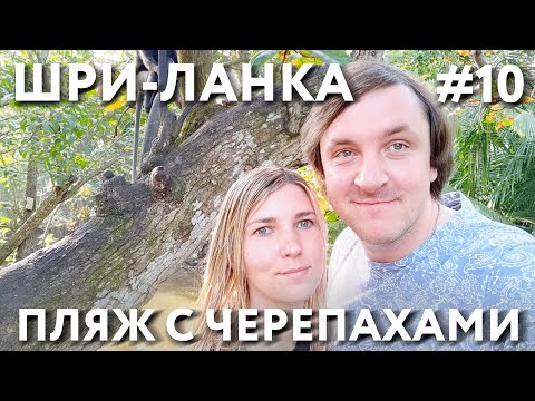 Видео: ШРИ-ЛАНКА 2023 #10. ХИККАДУВА ПЛЯЖИ. МОРСКИЕ ЧЕРЕПАХИ. СЪЕМКИ НА ДРОН. РЕСТОРАНЫ. ОТЕЛЬ VILLA KAYA.