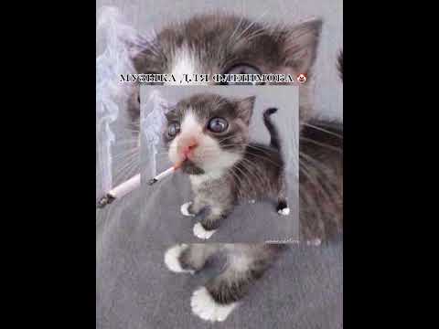 Видео: музыка для флешмоба 🤡 "лайкни пожалуйста я только начела"