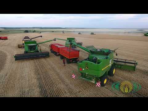 Видео: ООО "Агромаяк" СПК им.Н.К.Крупской. Уборка урожая 2021.