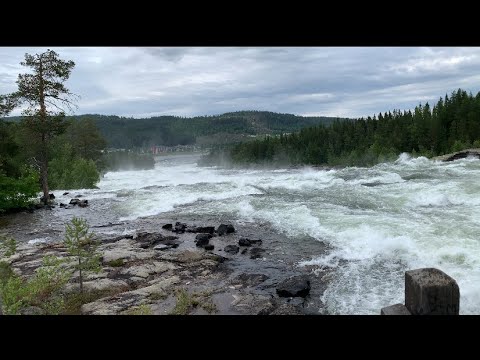 Видео: Не рукодільний влог.