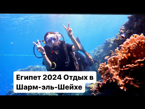 Видео: ЕГИПЕТ 2024 ! Фаруху 30 лет!