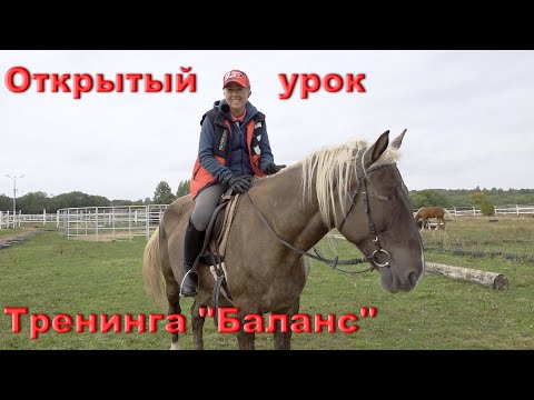 Видео: Как попасть на курс "Баланс"?