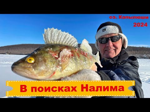 Видео: В поисках Налима (рыбалка, оз. Капылюши)