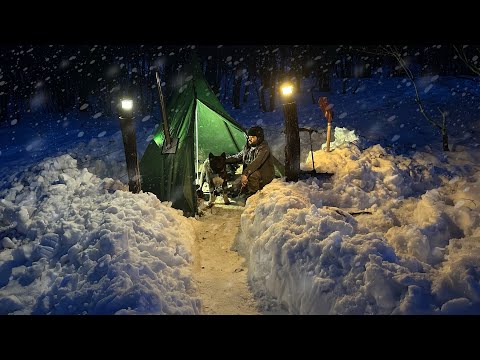 Видео: Горячий палаточный лагерь в глубоком снегу с моей собакой; Зимний лагерь выживания Bushcraft